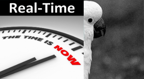 RealTimeYo